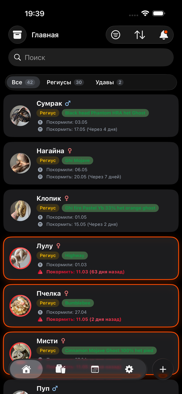 Главный экран Reptiles Hub — коллекция животных